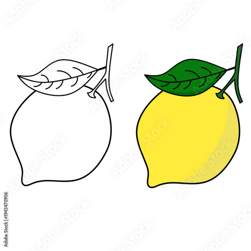 seamless citrus pattern, lemon slice isolated on white background, Freshness Orange Slice Frame, Fresh Orange Slice Illustration, orange vektor illustration, lime dan lemon vektor illustration.