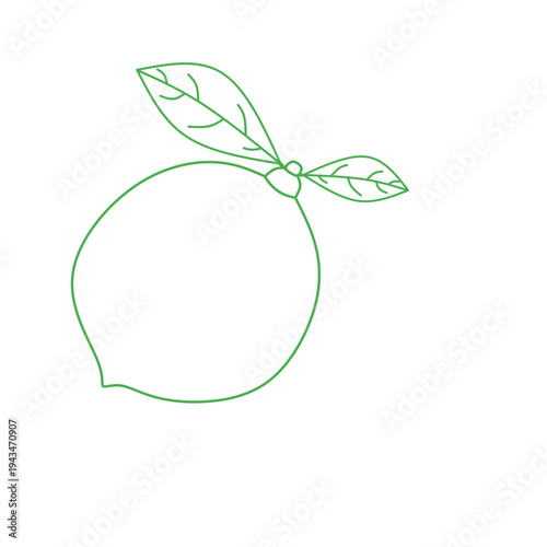 seamless citrus pattern, lemon slice isolated on white background, Freshness Orange Slice Frame, Fresh Orange Slice Illustration, orange vektor illustration, lime dan lemon vektor illustration.