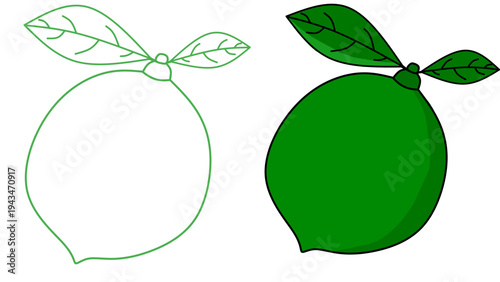 seamless citrus pattern, lemon slice isolated on white background, Freshness Orange Slice Frame, Fresh Orange Slice Illustration, orange vektor illustration, lime dan lemon vektor illustration.