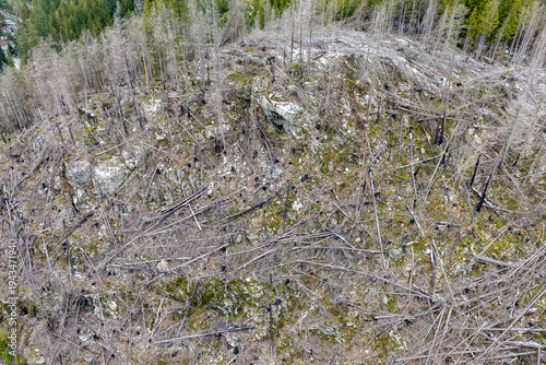 Aerial View Of Dead Trees And Clearcut Slope Showing Forest Damage In BC, Canada