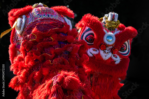 Chinese Lion Dance