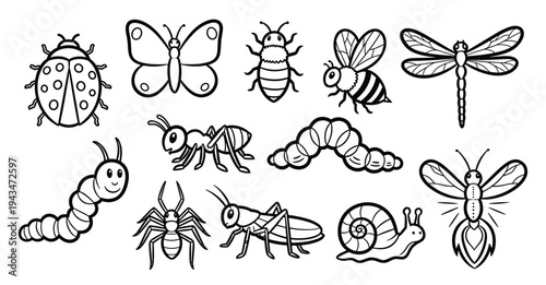 
Insect and Bug Icon Set — Butterfly, Beetle, Bee, Dragonfly, Ladybug, Ant, Caterpillar, Grasshopper, Spider, Snail, Mosquito Line Art