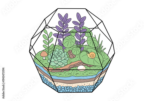 Charming geometric terrarium illustration featuring a miniature ecosystem with plants and a snail