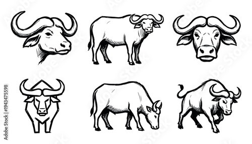Set of six powerful African buffalo sketches hand-drawn with black ink, featuring dynamic poses including portraits, standing, grazing, and an aggressive charging stance