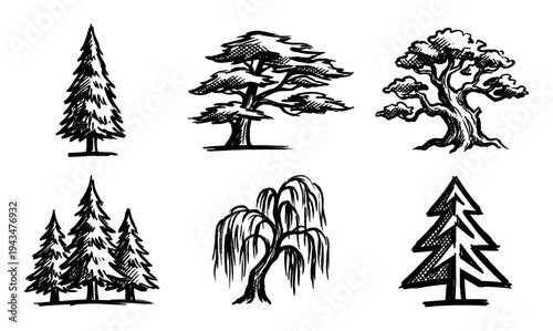 Collection of six hand-drawn trees in a sketchy ink style, showcasing various species like pine, willow, and fir with artistic cross-hatching and bold brush strokes