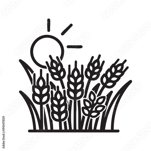 Sunny Field of Golden Wheat Stalks Ready for Harvest