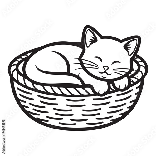 Cute Sleeping Cat in a Wicker Basket - Adorable Feline Napping Peaceful Dream Illustration
