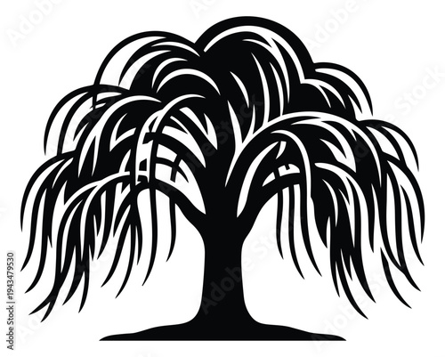 Silhouette illustration of weeping willow tree depicting graceful drooping branches for nature and landscape design