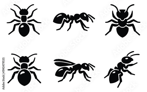 Silhouette icon set of 6 ants featuring top view and side view poses for nature and pest control design