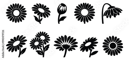 Silhouette icon set of 10 daisy and sunflower designs featuring blooming petals and stems for floral decoration