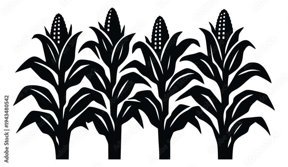 Fototapeta premium Silhouette icon set of 4 corn stalks featuring tall maize plants with ears and leaves for agriculture design