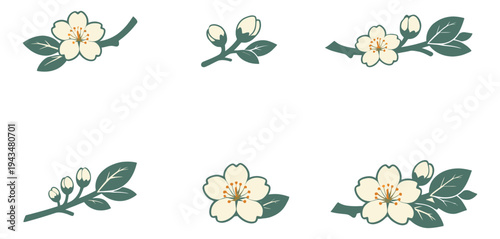 Flat icon set of 6 cherry blossom branches featuring flowers buds and leaves for spring botanical design