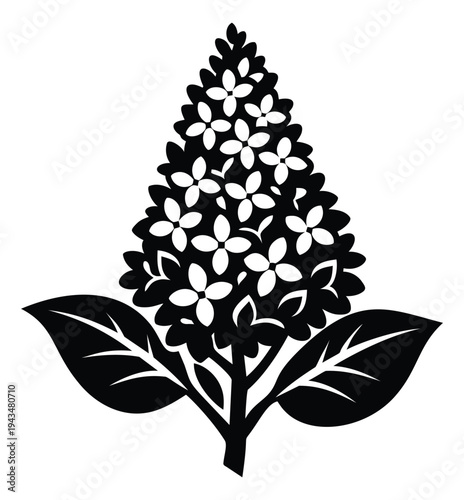 Silhouette illustration of lilac flower cluster depicting blooming panicle with leaves for botanical and floral design
