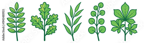Cartoon icon set of 5 green plant branches featuring various leaf shapes including round oval and compound foliage for nature design