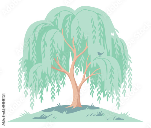 Flat illustration of a weeping willow tree depicting drooping branches with a perched bird for nature and garden design