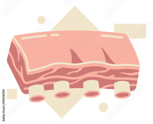 Flat illustration of raw pork ribs depicting fresh uncooked meat cut for food and restaurant design