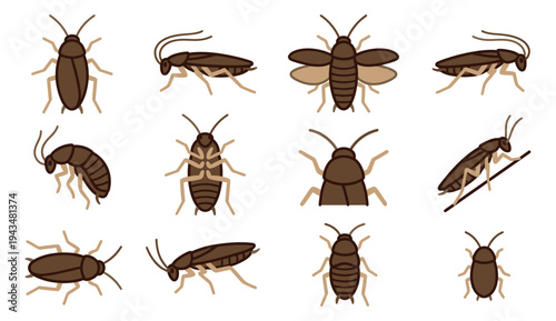 Flat icon set of 12 cockroaches featuring various poses and orientations for pest control design