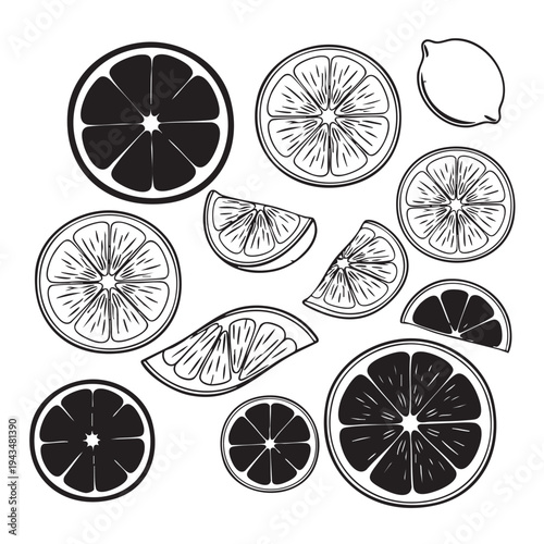 An illustration of various citrus slices and a lemon arranged in a flat lay on a white background.
