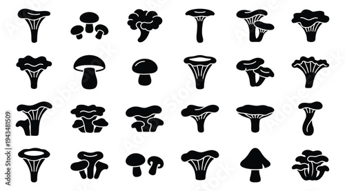 Silhouette icon set of 24 mushrooms featuring chanterelle, oyster, porcini and wild fungi varieties for food and nature design