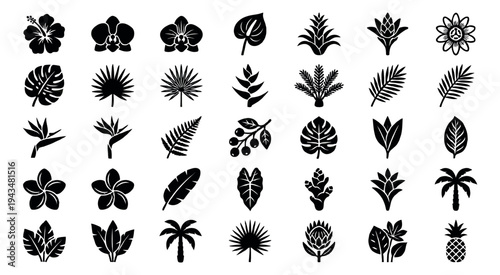 Silhouette icon set of 32 tropical plants featuring exotic flowers, palm trees, leaves and pineapple for botanical design
