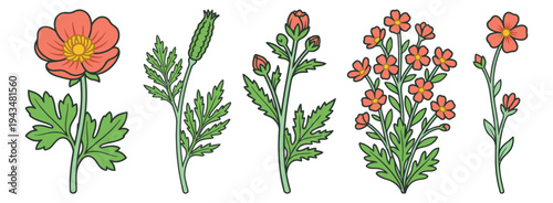 Cartoon icon set of 5 wildflowers featuring buttercup blooms and leafy stems for botanical and nature design
