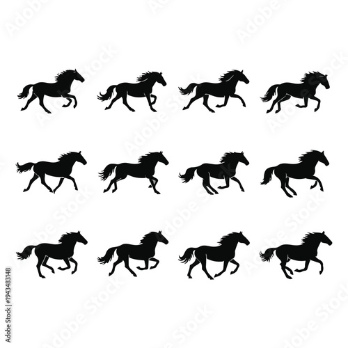 Black horse silhouettes in motion running.