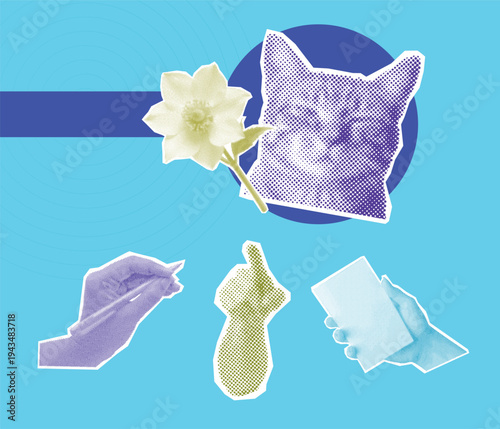 Stylized cat collage with decorative elements

