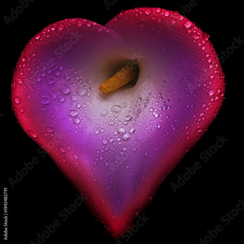 Stylized Heart-shaped Calla Lily