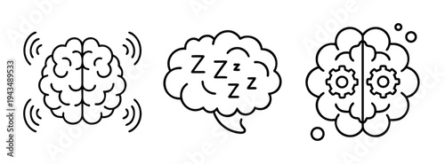 Understanding brain function: exploring sleep, activity, and cognitive processes and health benefits