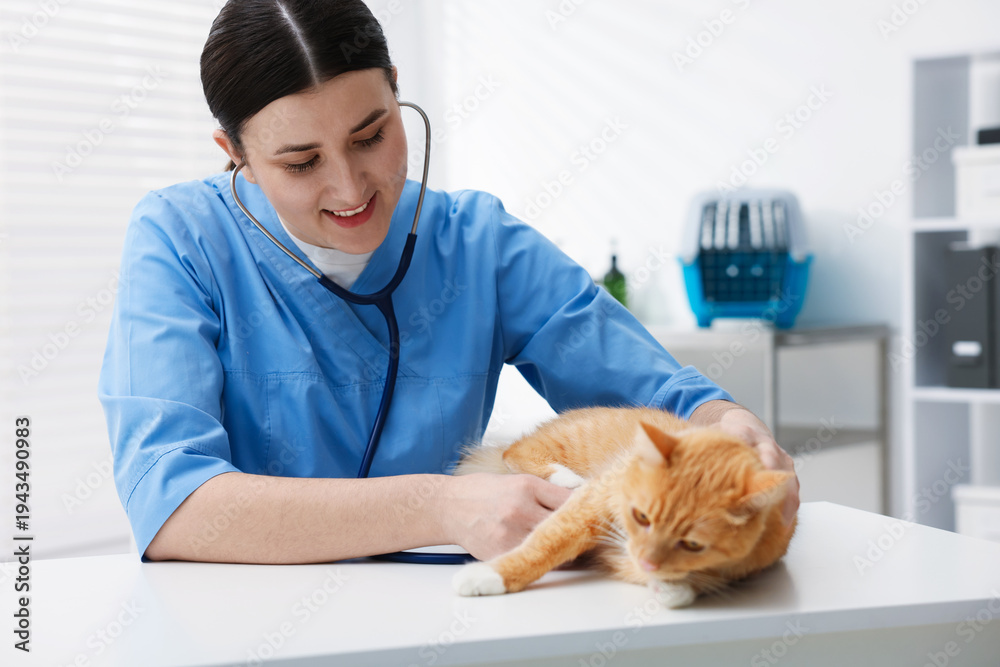 © New Africa - Professional veterinarian examining cute ginger cat in clinic