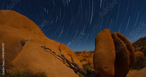 Star Trails Over Jumbo Rocks Joshua Tree Night Sky Stars Polaris Peaceful Desert