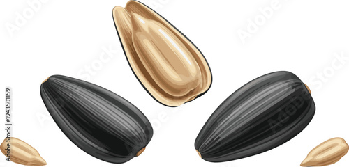 Macro Illustration of Black Sunflower Seeds and Cracked Open Seed Shells for Healthy Snack Food Concept Agricultural Harvest and Natural Oil Ingredient Designs
