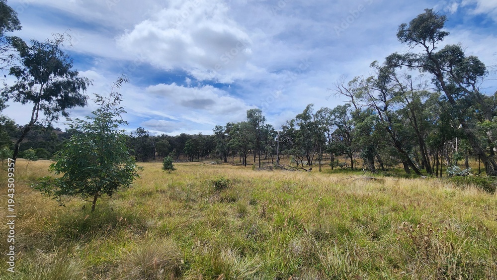 Obraz premium Dumaresq Dam in Armidale, New South Wales, Australia