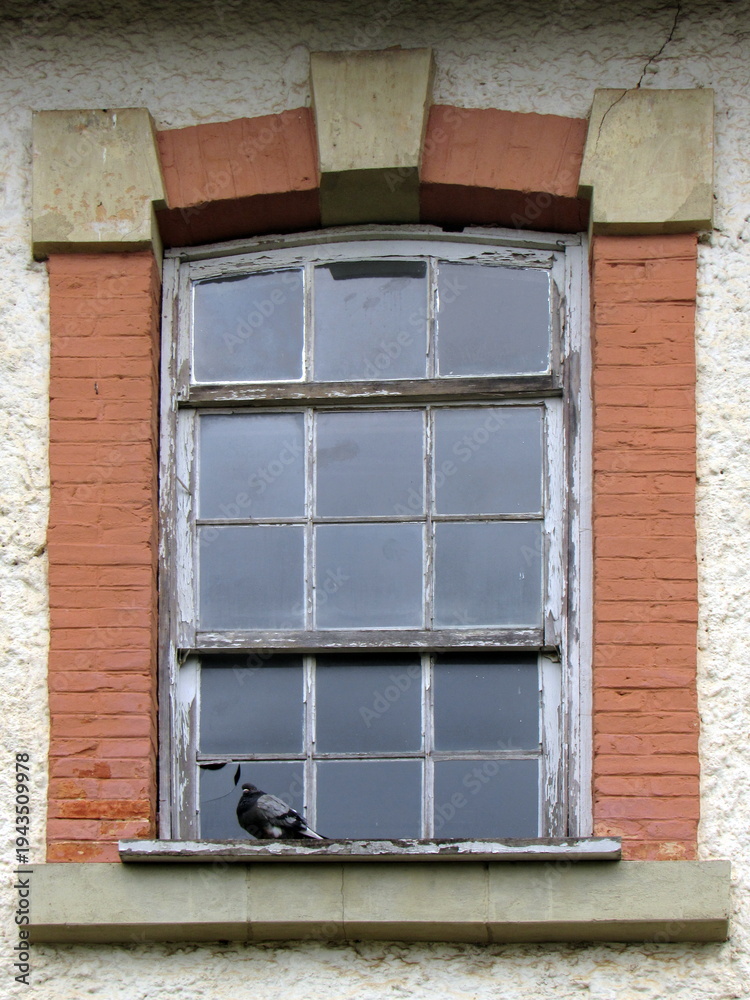 Fototapeta premium old window with shutters