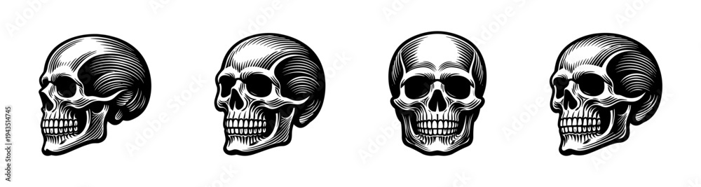 Obraz premium Skull illustrations set black and white vector skull designs multiple angles