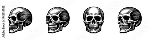 Skull illustrations set black and white vector skull designs multiple angles