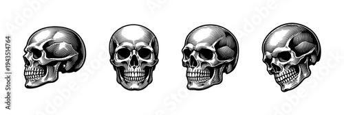 Black and white skull illustrations set with multiple angles and styles