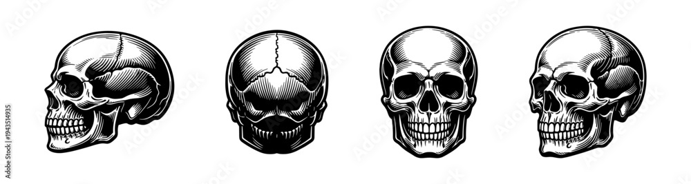 Obraz premium Detailed skull illustrations in black and white, set of four vector designs