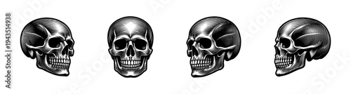 Vector illustration of vintage human skull silhouettes in black and white set