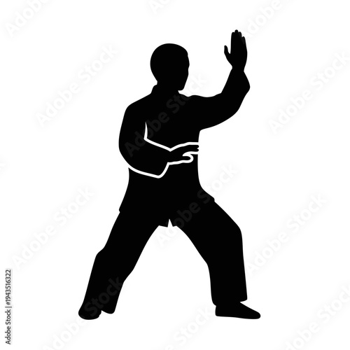 Man doing martial arts stance strong.