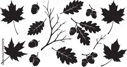 Black silhouettes of leaves and branches on white background