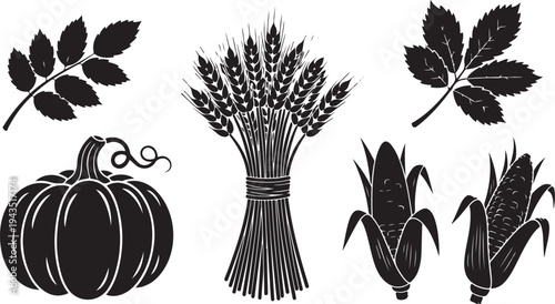 Black and white illustration of harvest elements and leaves