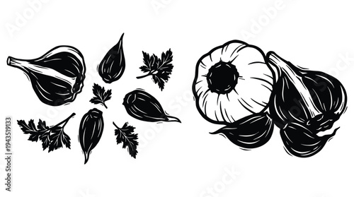 Black silhouette of garlic bulbs and cloves and parsley leaves vector illustration