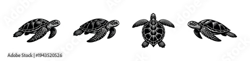 Black and white sea turtle vector illustrations set in silhouette style