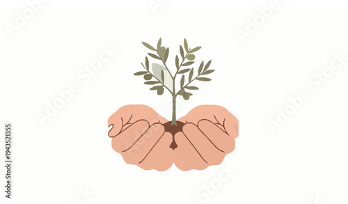 Olive tree in caring hands vector illustration symbolizing peace sustainability and environmental protection isolated on white