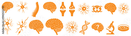 Human Brain and Neurology Icon Set for Medical Neuroscience Research Featuring Orange Neurons DNA Microscope Anatomy and Spine Silhouette Illustrations Isolated on White Background