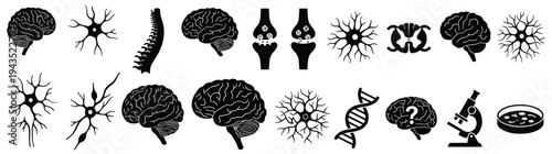 Human Brain and Neurology Icon Set Featuring Neurons Spinal Cord DNA Microscope and Biological Science Elements for Medical Research Mental Health and Education Isolated on White