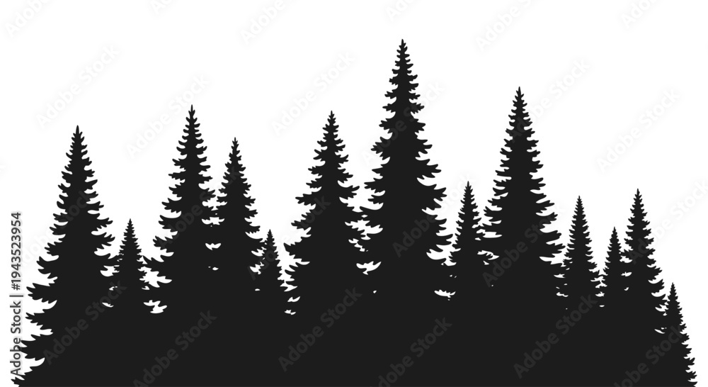 Obraz premium Silhouette of a dense evergreen forest against a white background.