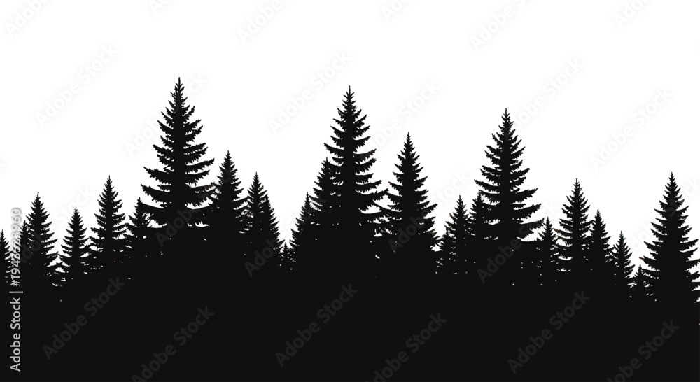 Obraz premium Silhouette of a dense evergreen forest at dusk.