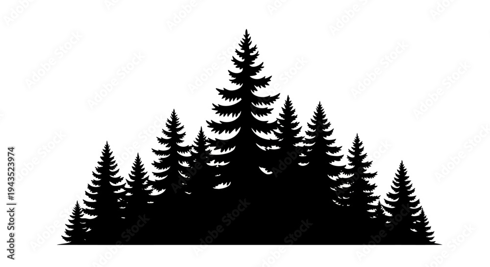 Fototapeta premium Silhouette of a dense forest of pine trees.